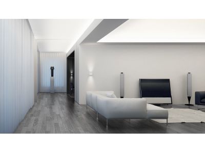 Новое поступление самой яркой светодиодной ленты от компании Rishang RD00K2TC-A-T