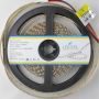 Світлодіодна стрічка LED-STIL 4000K 9,6 Вт/м 2835 120 діодів IP33 12 Вольт 1000 lm нейтральне світло