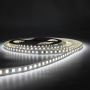 Світлодіодна стрічка LED-STIL 6000K 8,6 Вт/м 2835 120 діодів IP33 12 Вольт 900 lm холодне світло