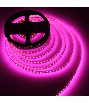 Світлодіодна стрічка LED-STIL 9,6 Вт/м 2835, 120 діодів IP33 12 Вольт 100 lm РОЖЕВЕ світло